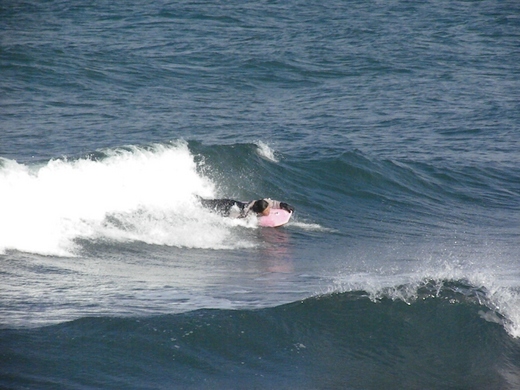 DSCN9235.JPG