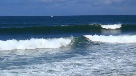 1462078893[1].jpg