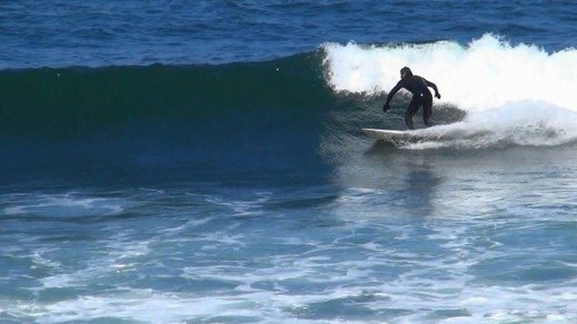 1462078895[1].jpg