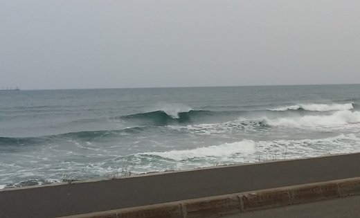 20150424_051210 (800x486).jpg