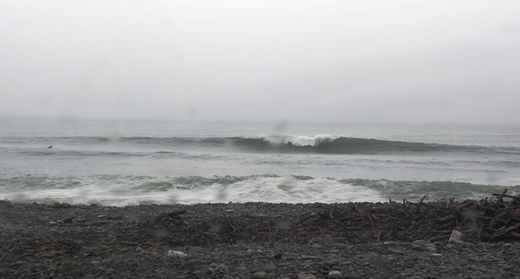 DSCN0219.JPG