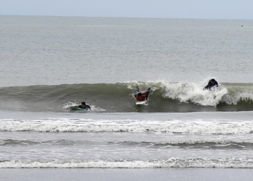 DSCN0288.JPG