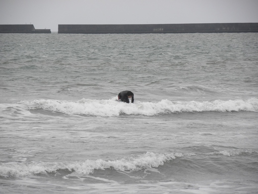 DSCN0318.JPG