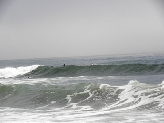 DSCN1458.JPG