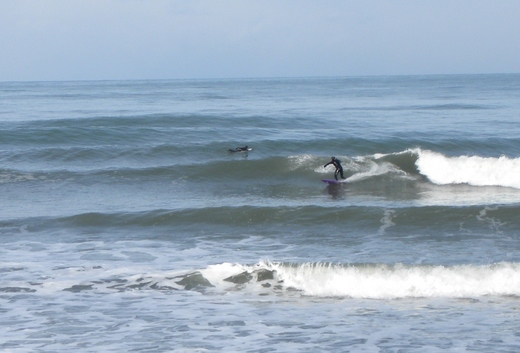 DSCN1809.JPG
