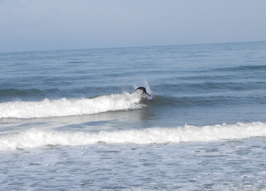 DSCN1815.JPG