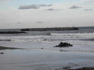 DSCN2126.JPG