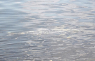 DSCN3304.JPG