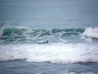DSCN3350.JPG