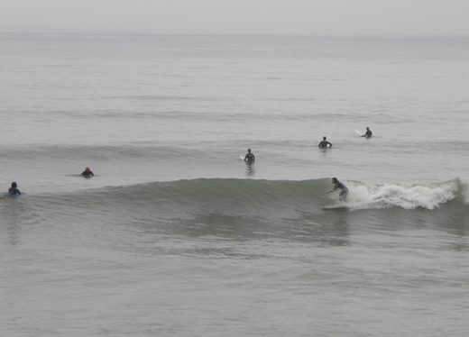 DSCN4481.JPG