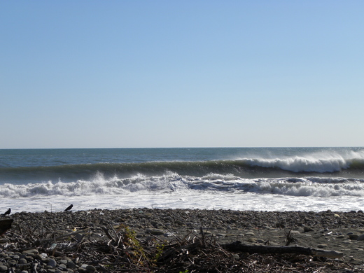 DSCN6672.JPG