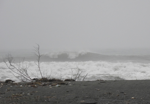 DSCN6945.JPG