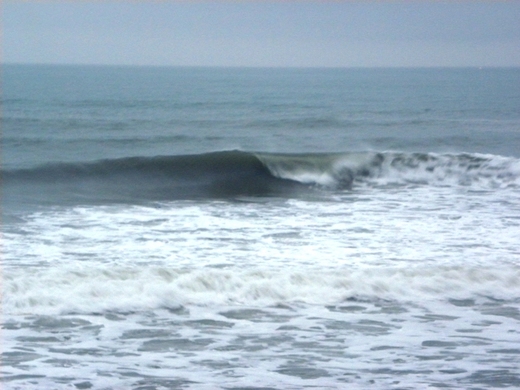 DSCN7082.JPG