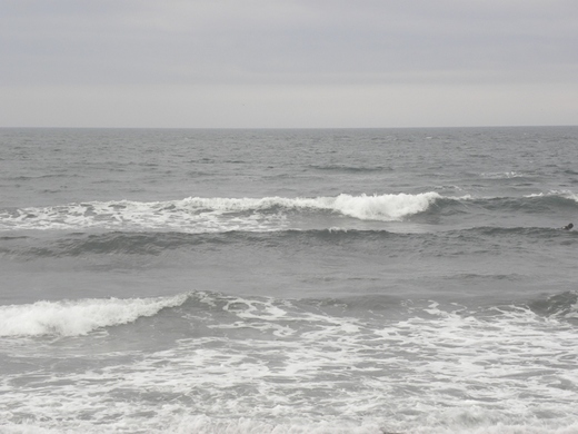 DSCN7957.JPG