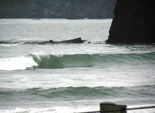 DSCN8353.JPG