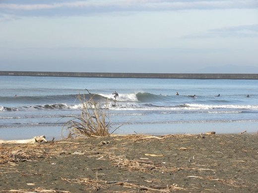 DSCN8361.JPG