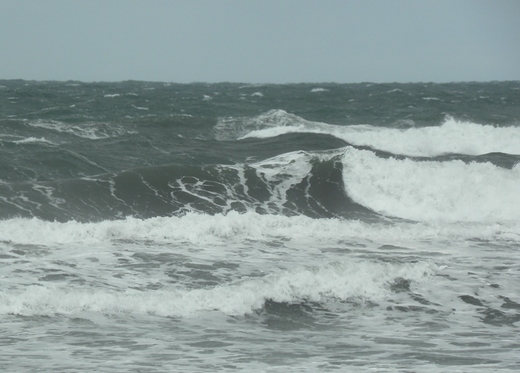 DSCN8409.JPG