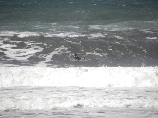 DSCN8420.JPG