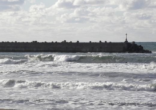 DSCN8429.JPG