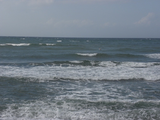 DSCN8623.JPG