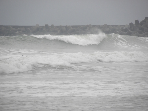 DSCN8765.JPG