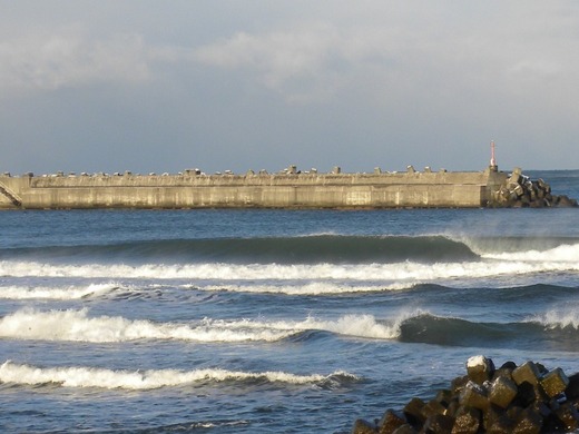 DSCN9547.JPG