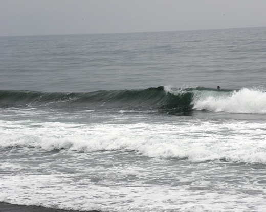 DSCN9797.JPG