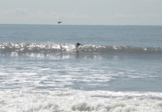 DSCN9890.JPG