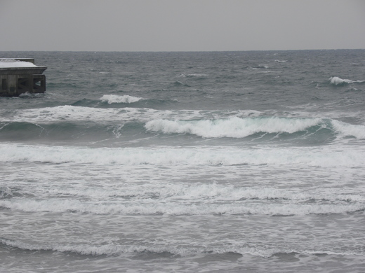 DSCN9917.JPG