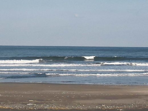DSC_0831.JPG
