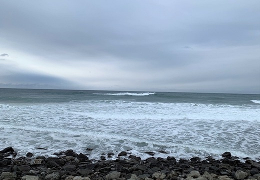 IMG_6457.jpg