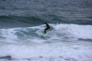 IMG_8756.jpg
