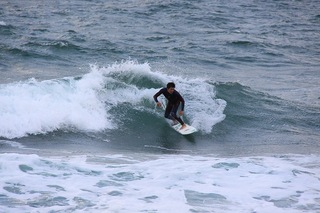 IMG_8780.jpg