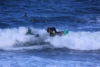 IMG_9019.jpg