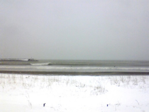 NEC_0212.JPG