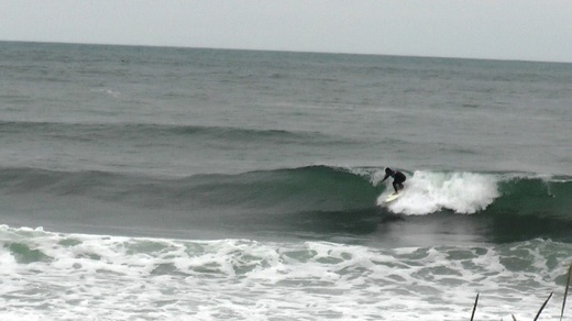 S1000009.JPG
